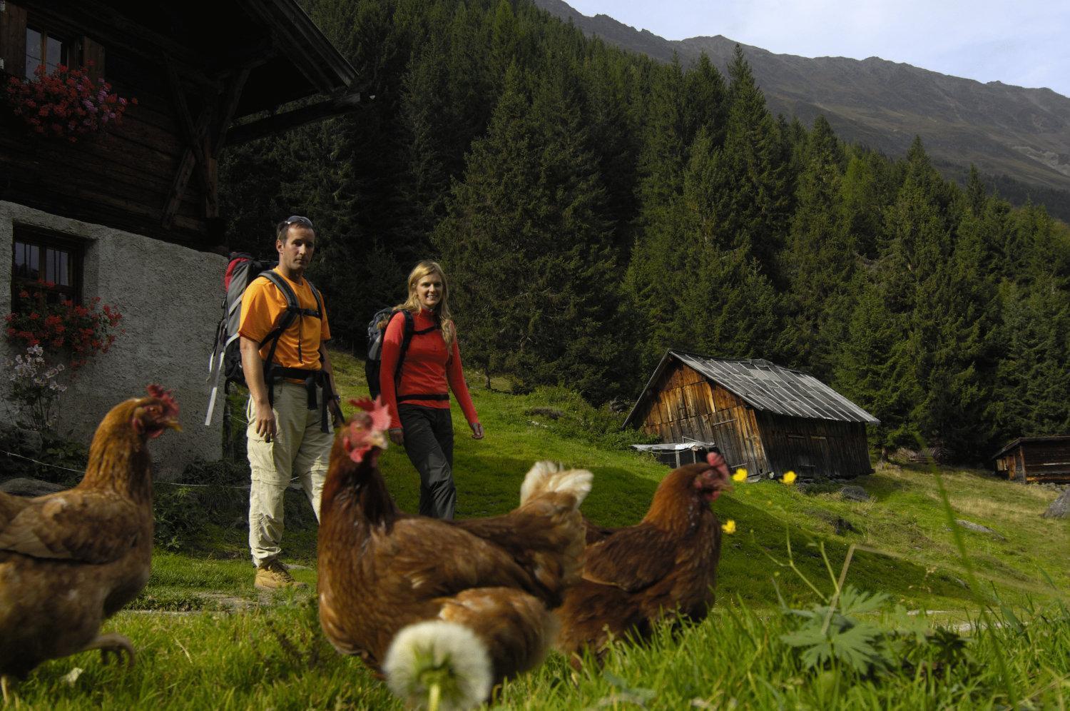Aparthaus Stubai Neustift im Stubaital